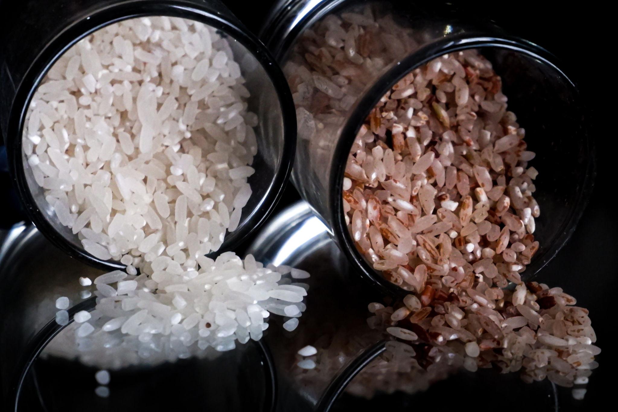 저탄수화물 식단의 장단점, 체지방 감량에 정말 효과적일까