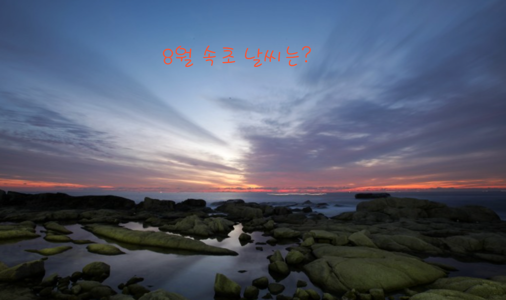 속초