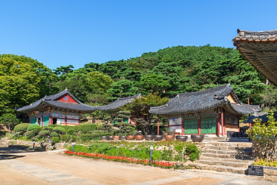 건축물로 읽는 문화와 역사