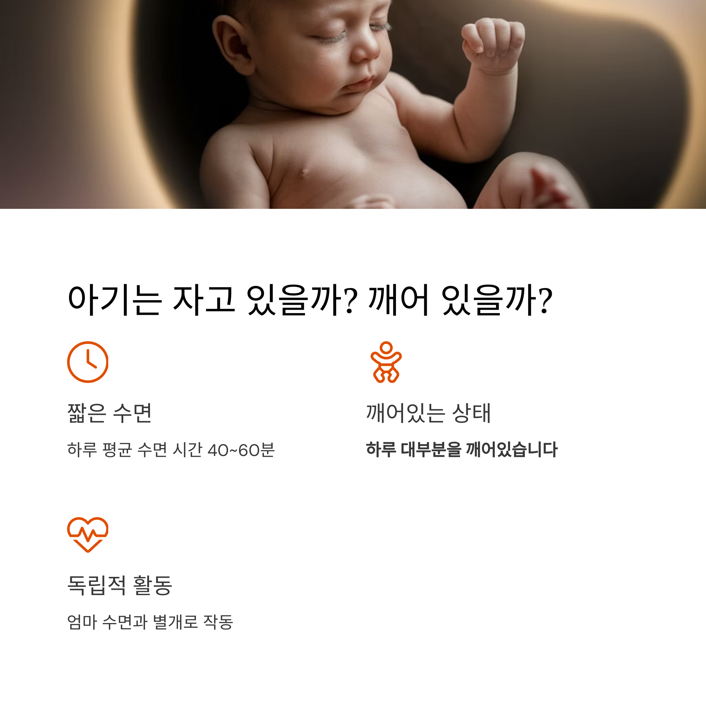 태아 활동 – 태아는 깨어 있을까, 자고 있을까?