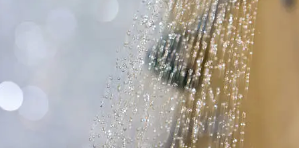 2025년 초복 중복 말복 날짜 