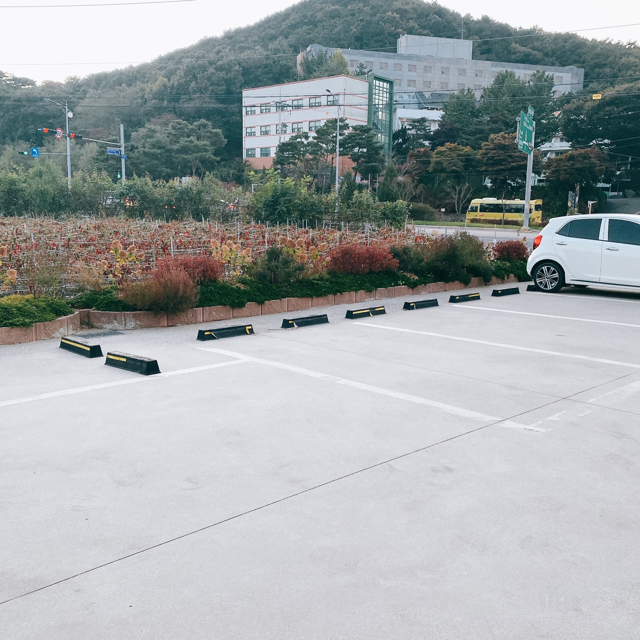 강화도