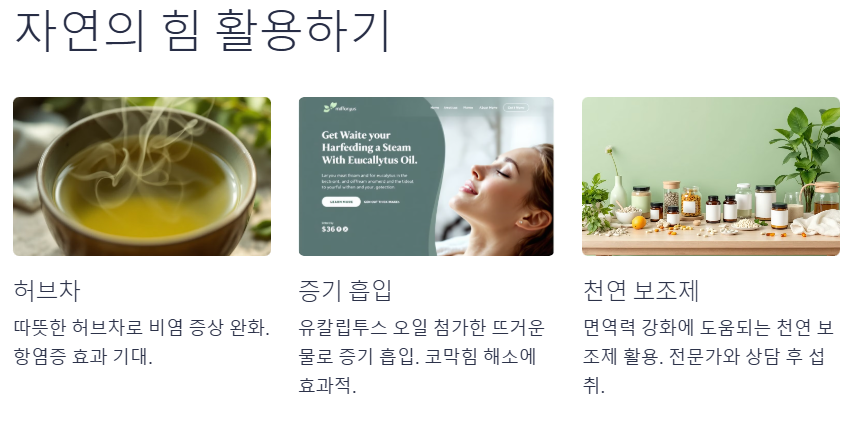 비염 뿌리를 뽑으려면