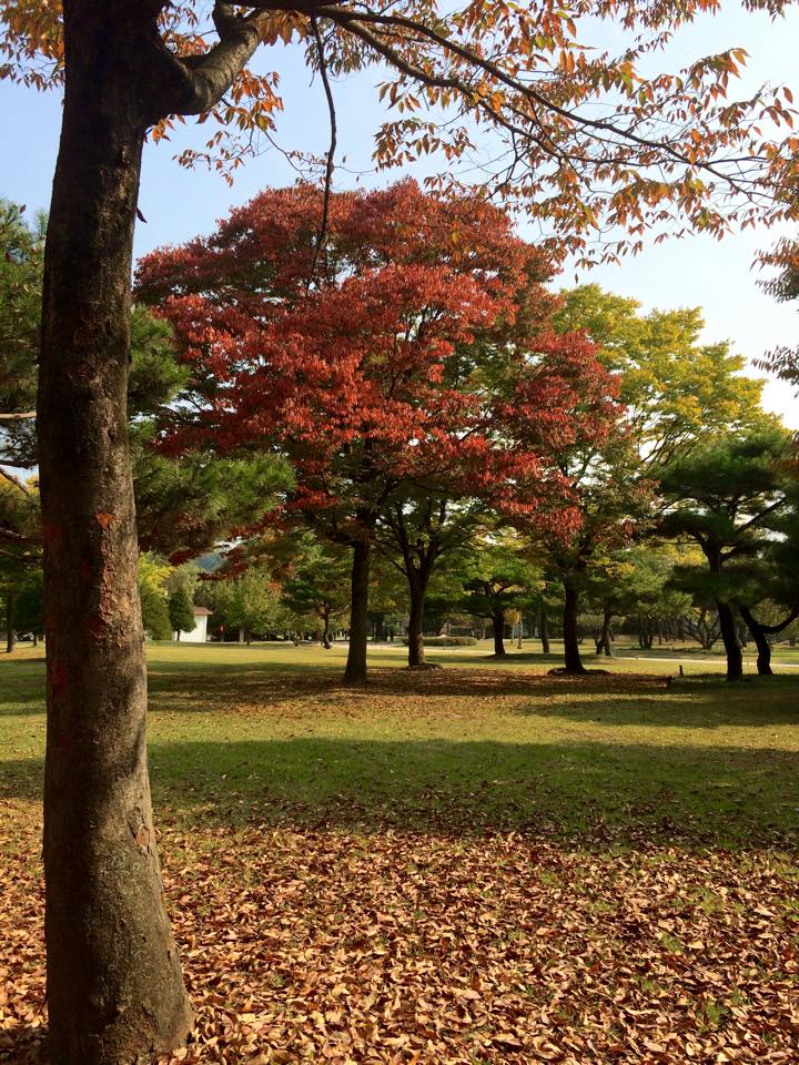 광한루 풍경