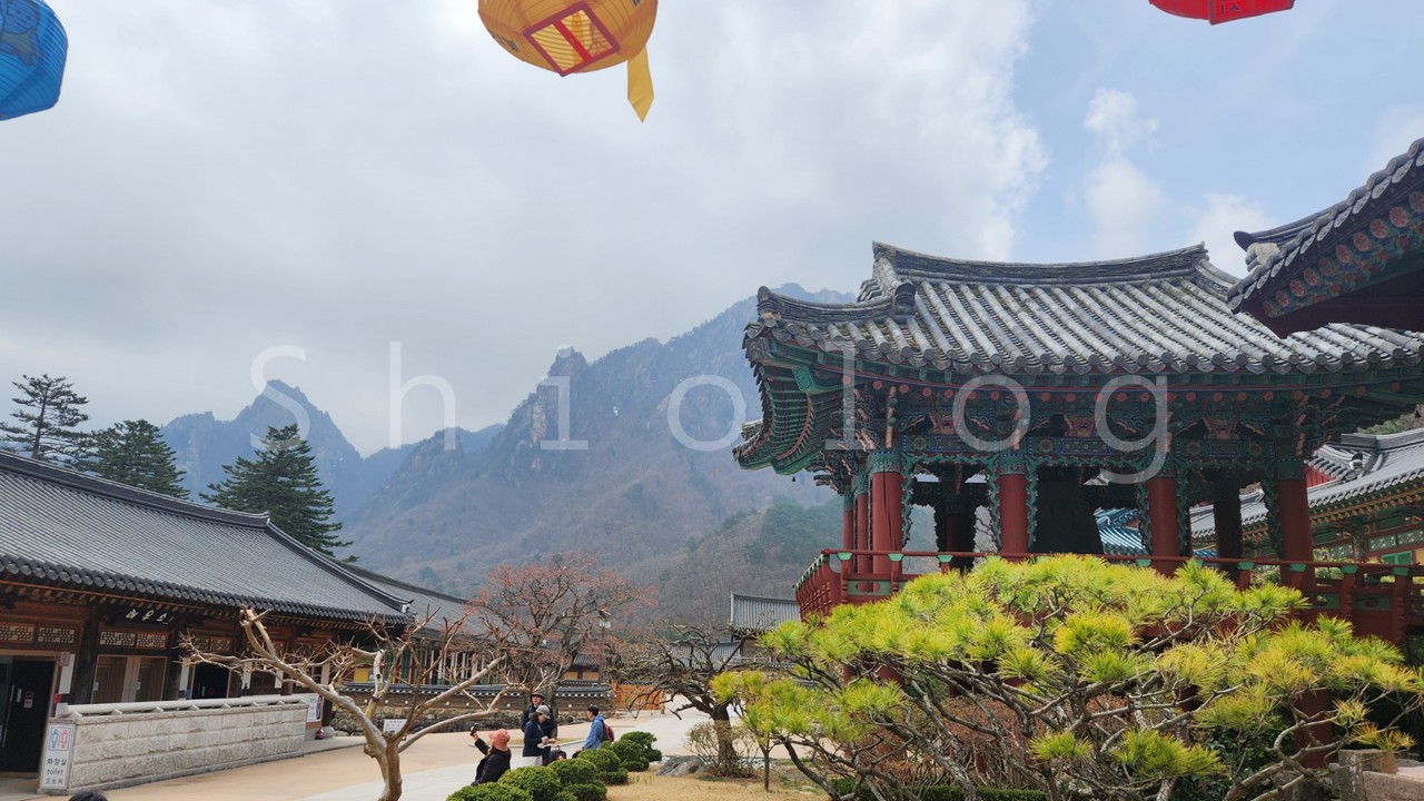 신흥사 앞마당에서 고개를 들었을 때 보이는 깎아지른 듯한 권금성 바위 절벽과 사찰 전각의 기와지붕이 조화를 이룬 풍경
