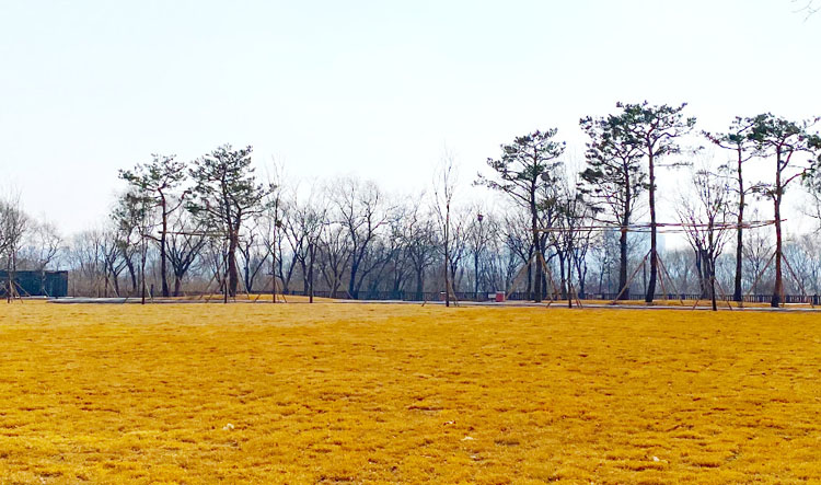 프리캠핑장