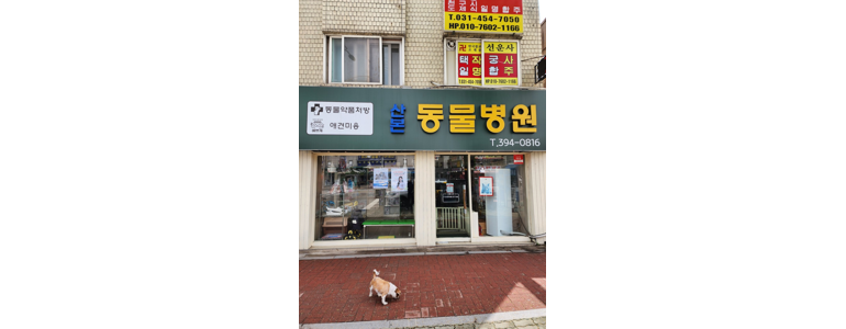 군포시 동물병원