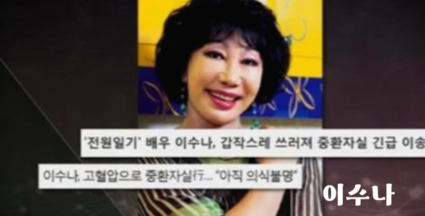 배우 이수나