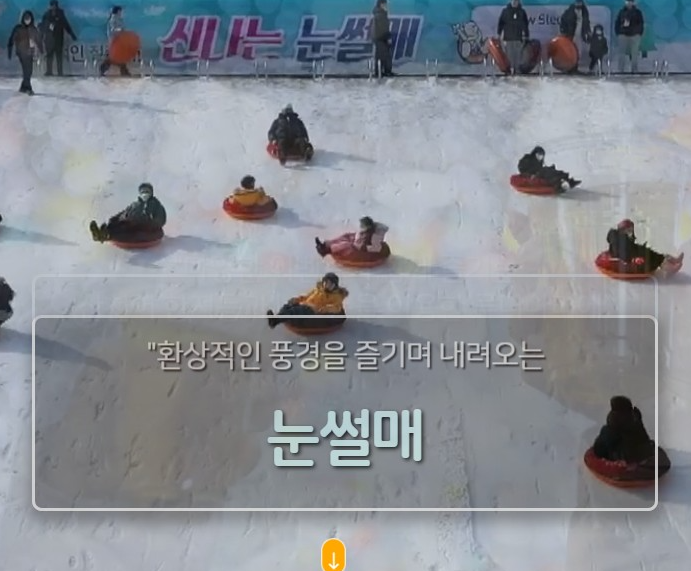 화천 산천어축제 예약