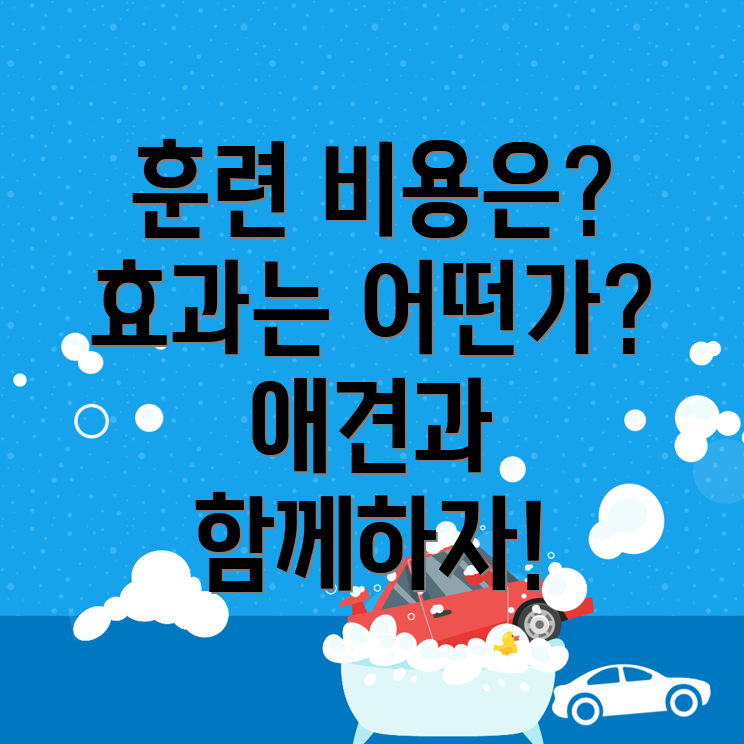 애견훈련소