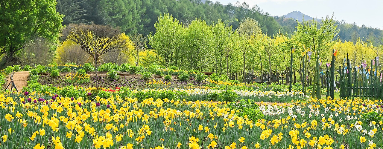 국립백두대간수목원