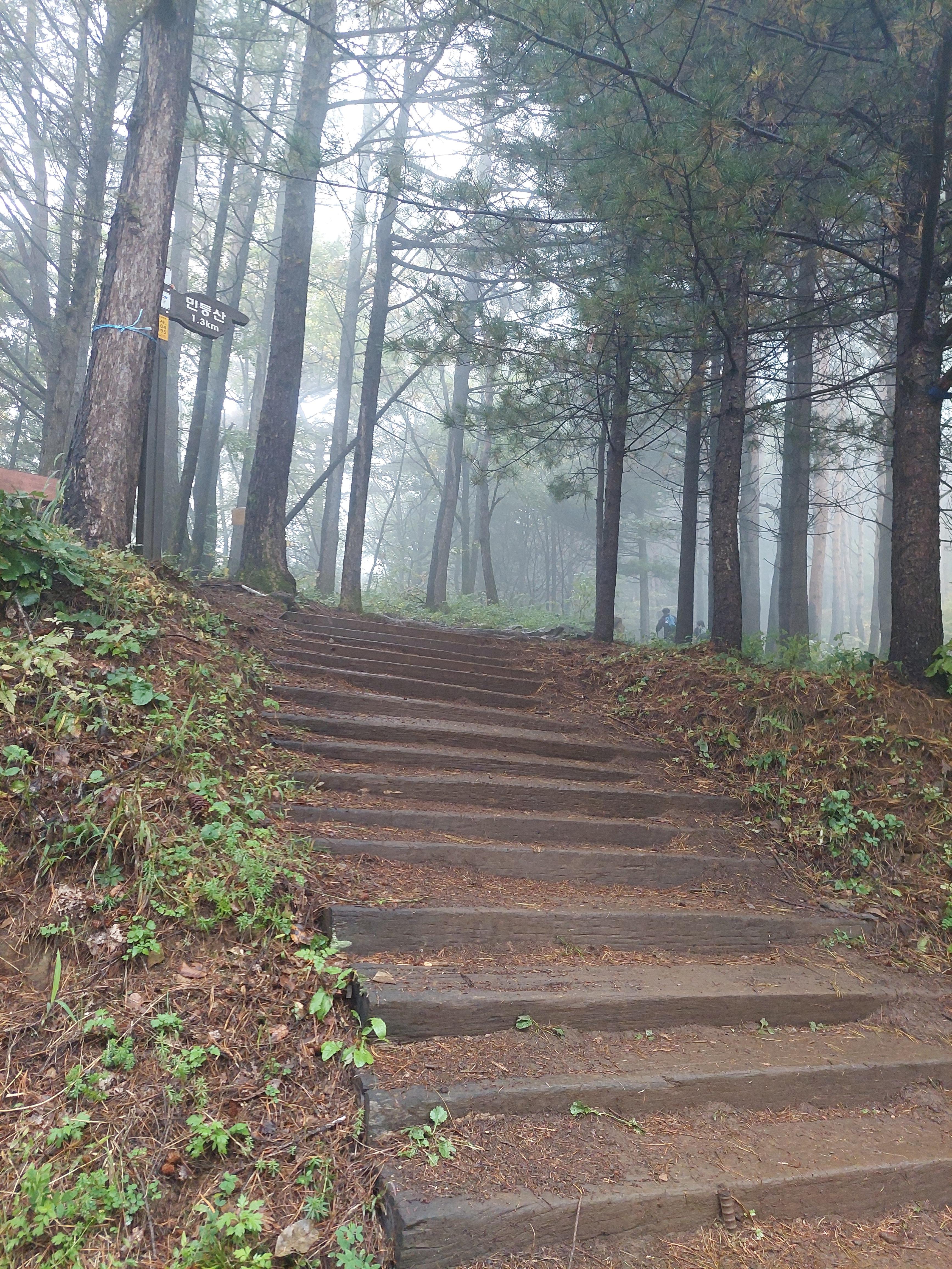 민둥산