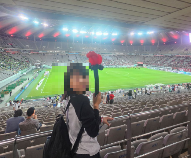 서울 상암 경기장 FC서울 경기 관람