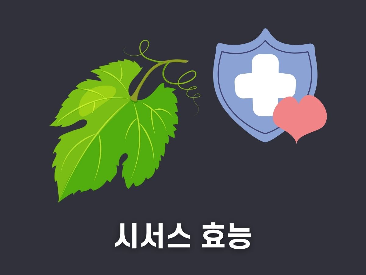 시서스 효능