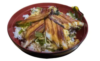 민물장어 가격 및 효능, 영양성분