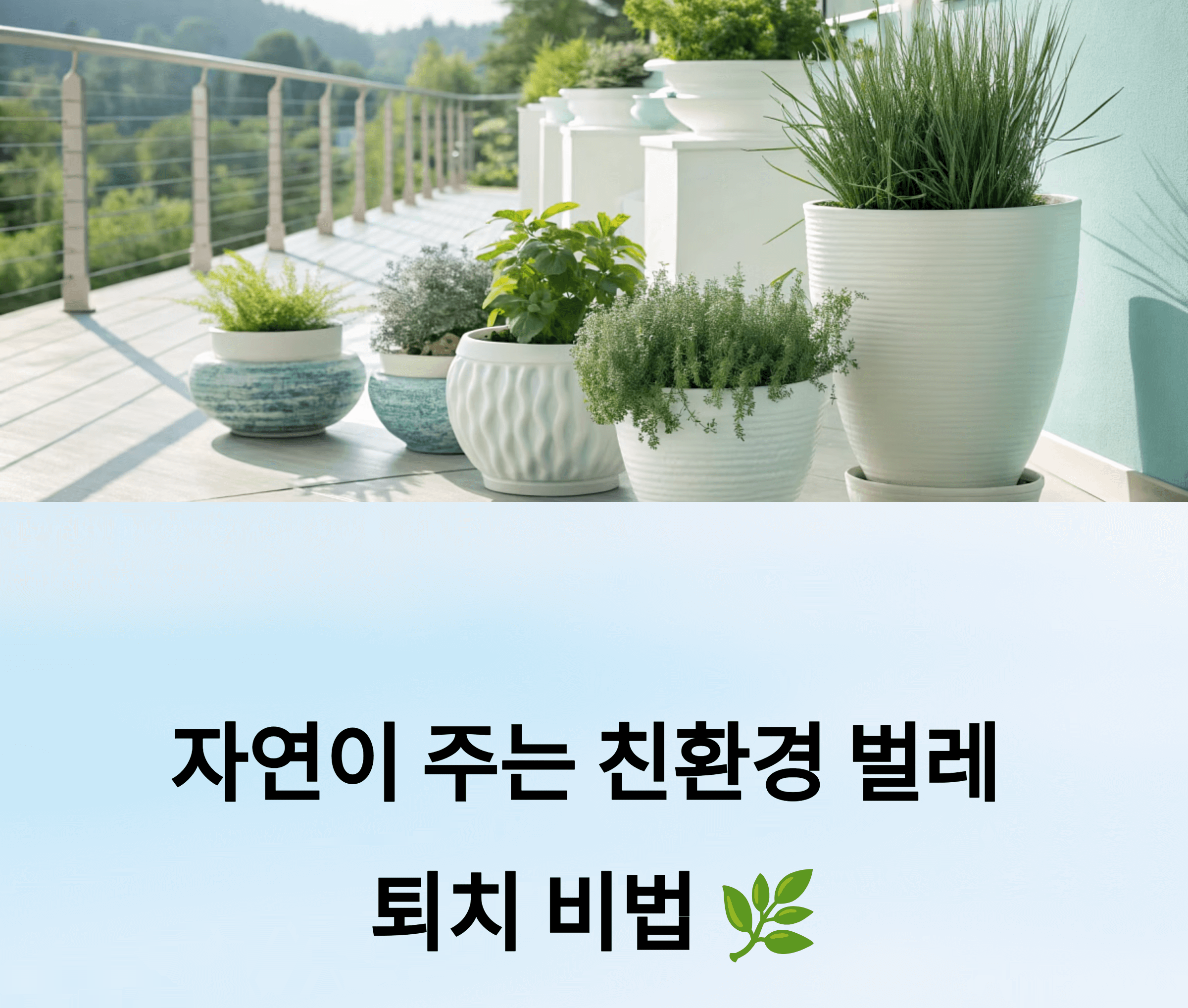 벌레 퇴치 식물 관련 사진