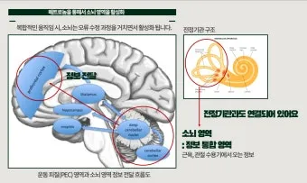 골프 스윙템포 일정하게 만드는 메트로놈 호흡 루틴 구성_3