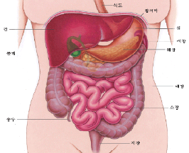인피니트-남우현-희귀질환-고백- 기스트암-증상과-원인