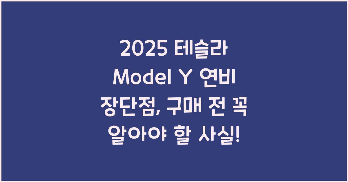 2025 테슬라 Model Y 연비 장단점