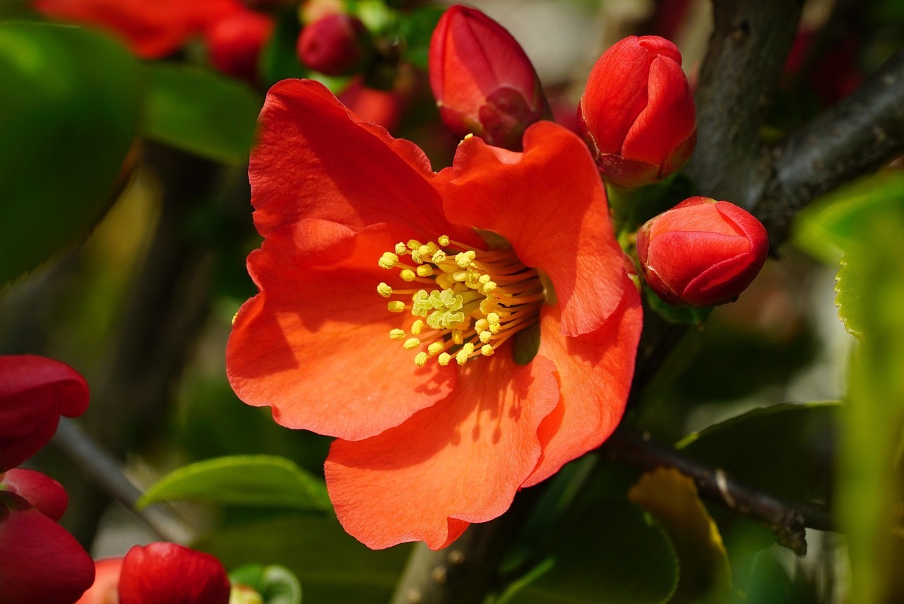 율봄식물원 방문 정보