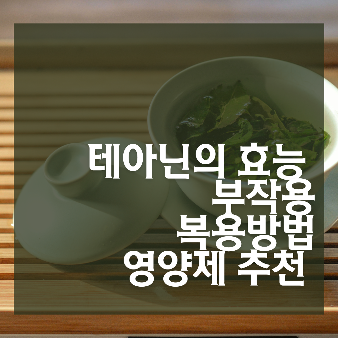 테아닌의 효능부터 영양제 추천까지
