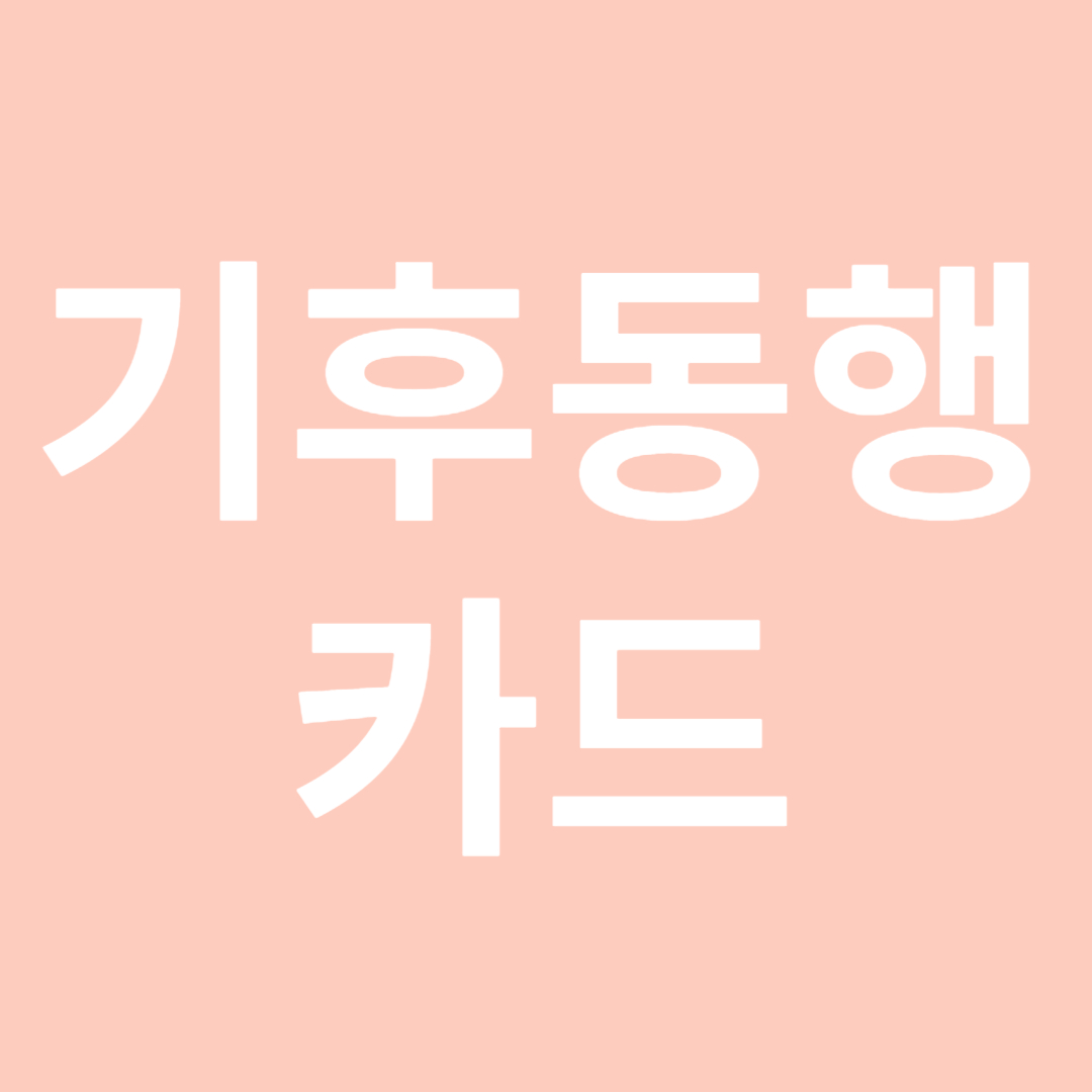 기후동행카드