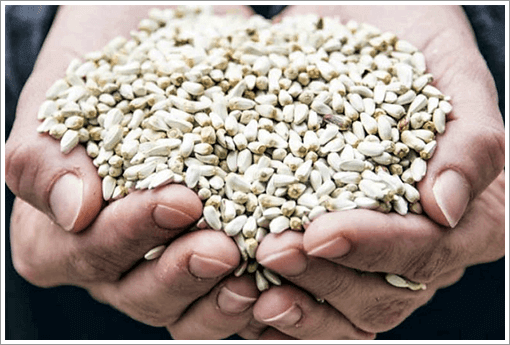 뼈골절에 좋은 음식