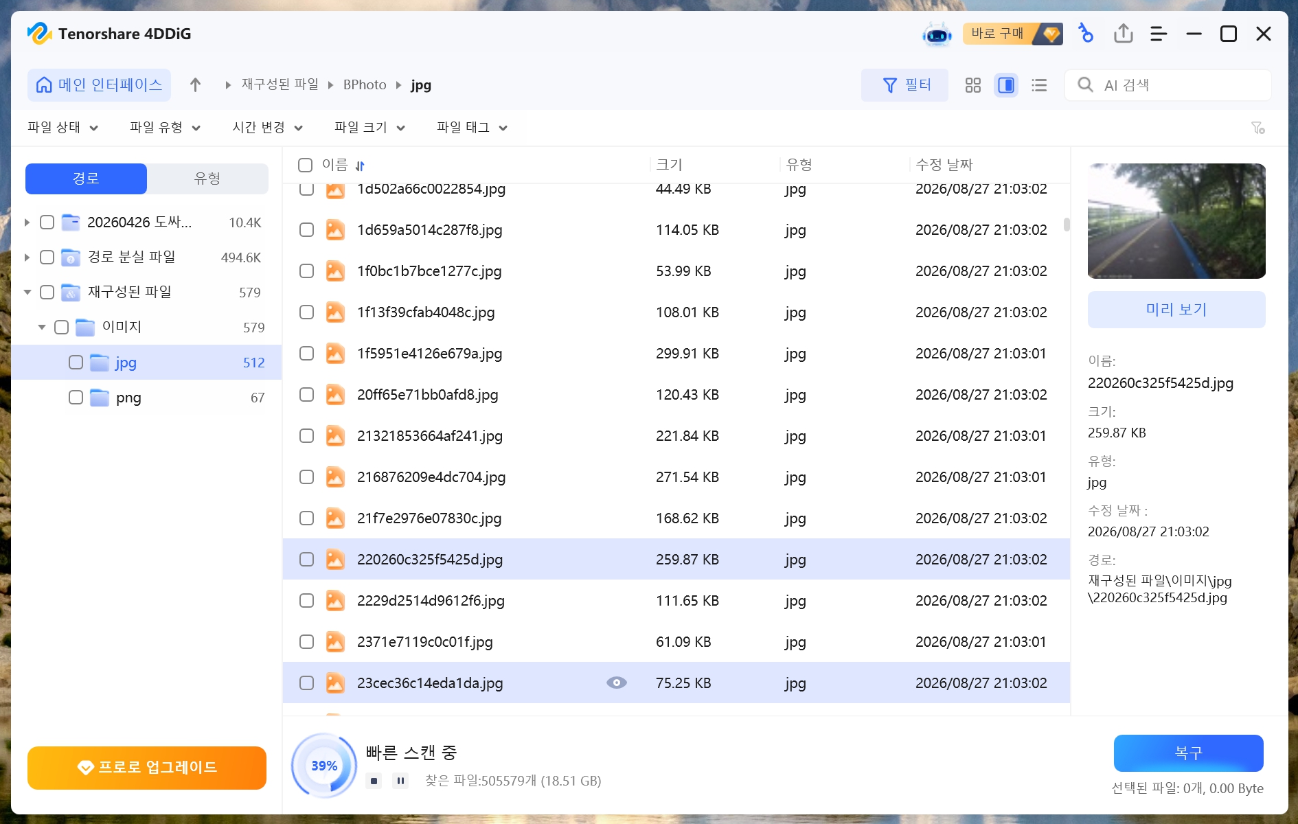 4DDiG 외장하드 라이딩 사진 복구 전 JPG 파일 미리보기