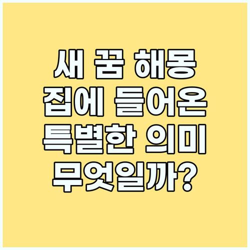 새 꿈 해몽: 집에 들어온 새가 당신