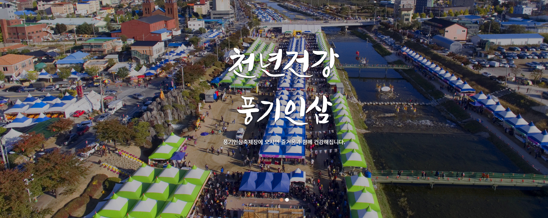 풍기인삼축제