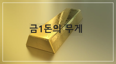 금1돈의 무게