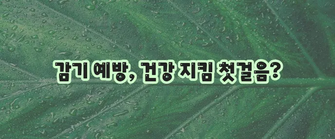 강아지 감기 예방책은 반려견 건강을 위한 믿음직한 방법입니다!