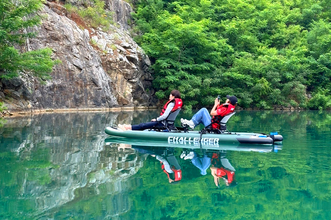 무릉별유천지 라벤더 축제