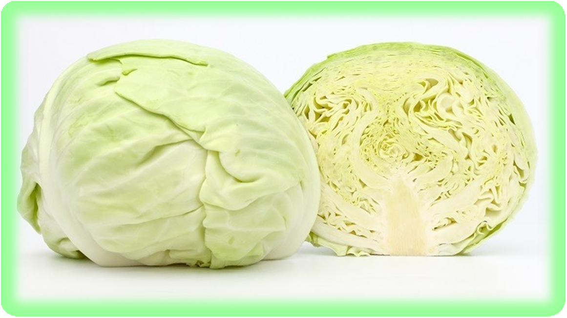 공복에 먹어도 좋은 음식 양배추