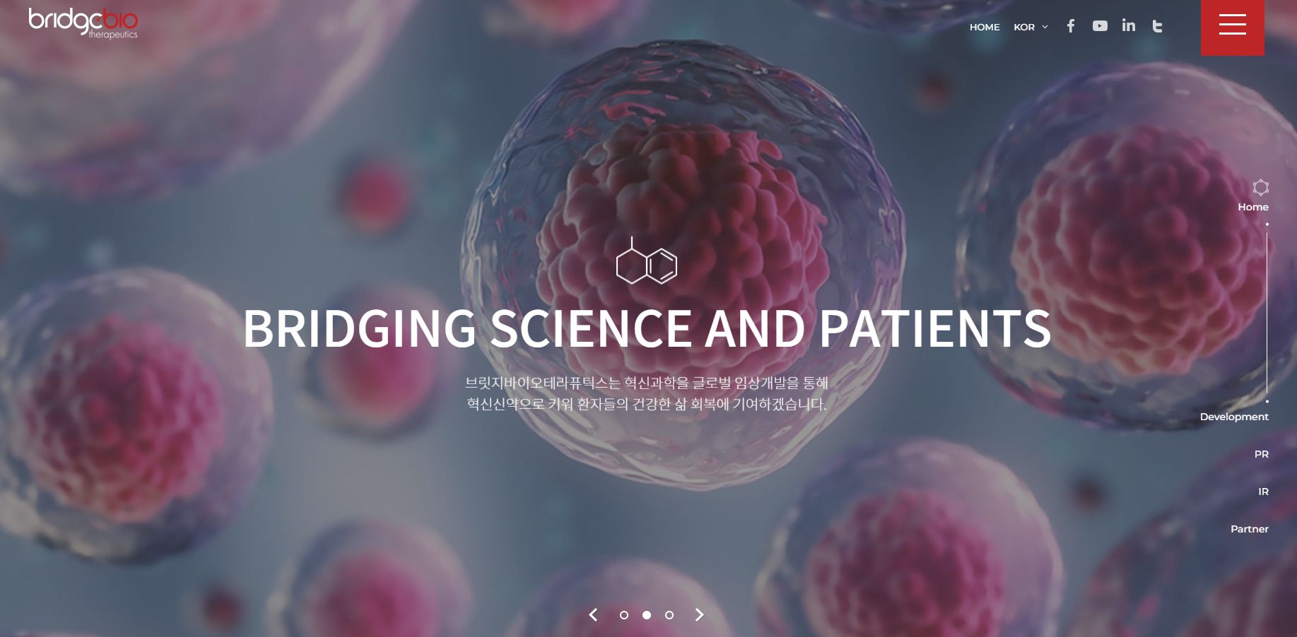 피노바이오 상장 관련주