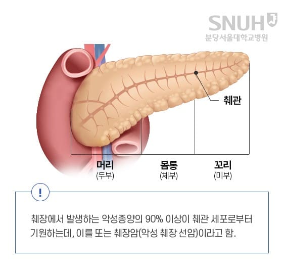 췌장암 초기증상&amp;#44; 췌장암&amp;#44; 췌장암 검사방법&amp;#44; 췌장암 증상&amp;#44; 췌장암 말기4기마지막증상&amp;#44; 췌장암 4기 생존율&amp;#44; 췌장암 등통증 부위&amp;#44; 췌장암에 좋은 음식&amp;#44; 췌장암 3기 생존율&amp;#44; 췌장암 2기 생존율&amp;#44; 췌장암 증상 등통증&amp;#44; 췌장암 생존율