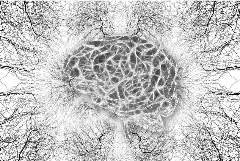 뇌세포란 무엇일까?