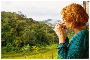 마늘 효능10가지 이런 효과까지 있다고?