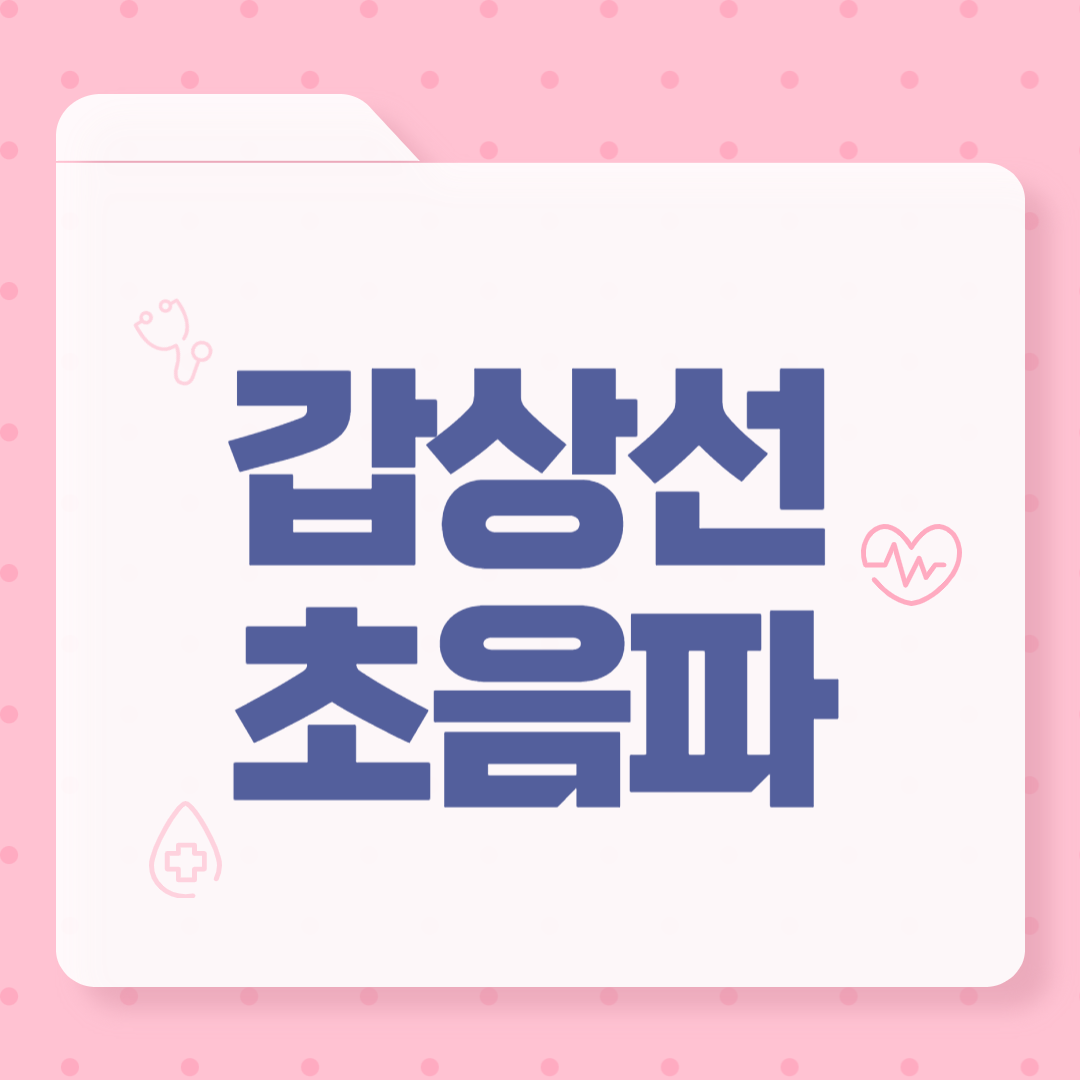 갑상선 초음파