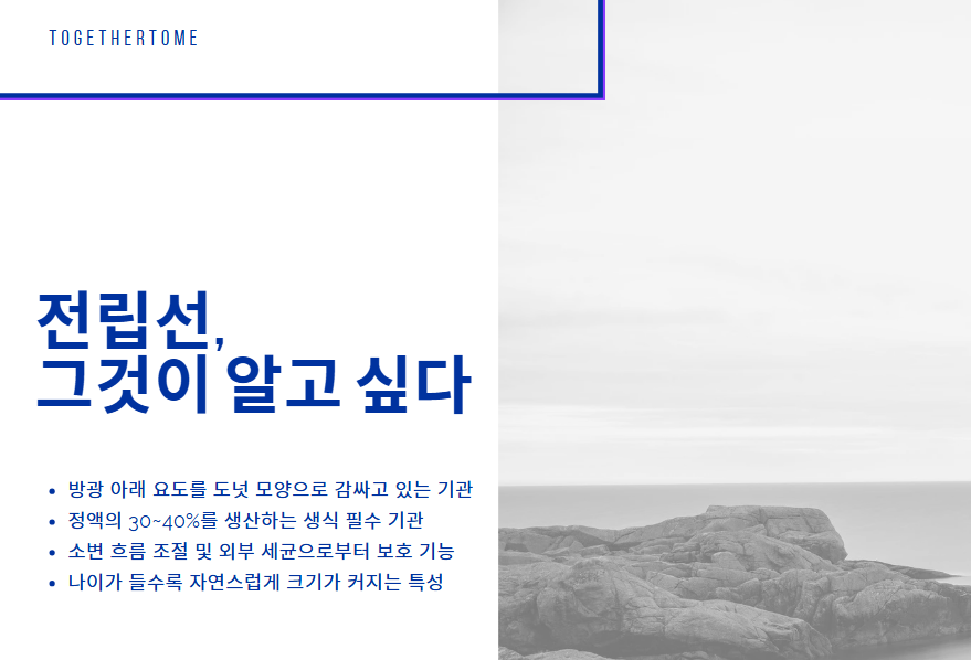 전립선 그것이 알고 싶다