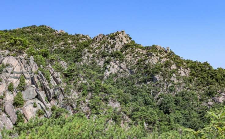 홍성 용봉산