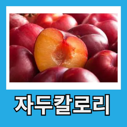 자두 칼로리