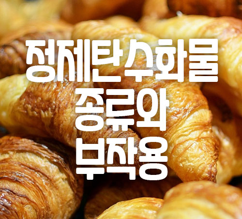 정제탄수화물 종류와 부작용