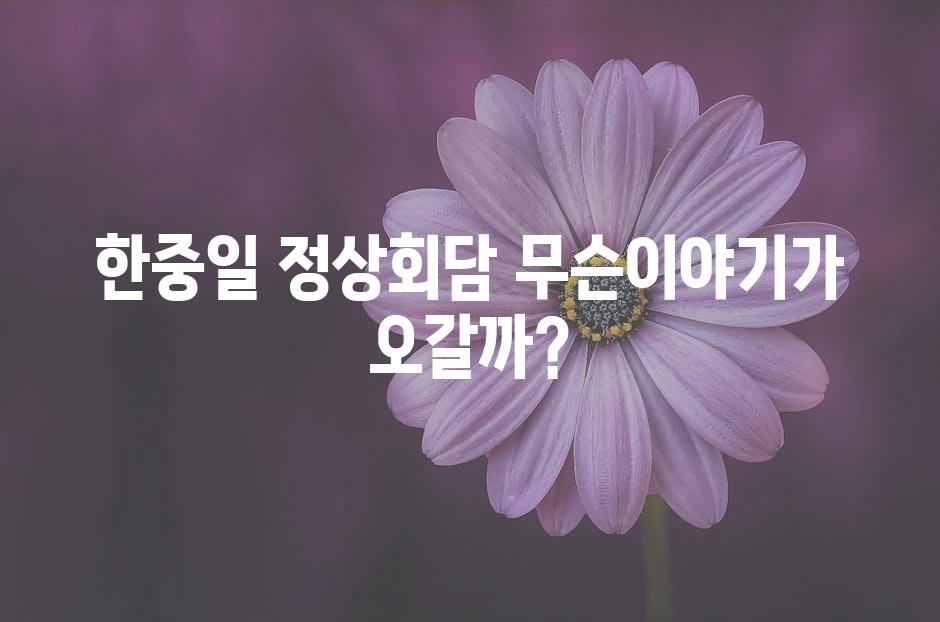 샘플 (50)