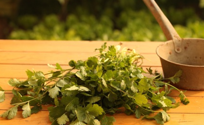 고대 로마 시대 오줌을 활용한 소독법과 현대 치과 치료의 관계