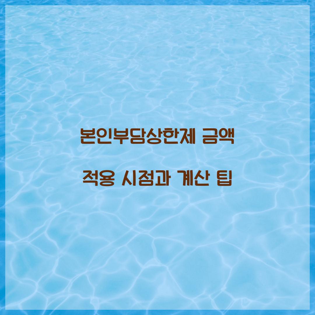본인부담상한제 금액