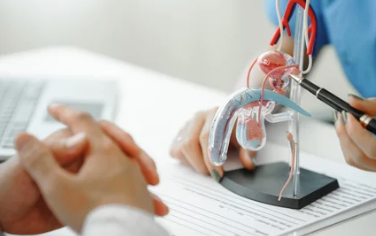 전립선암의 원인