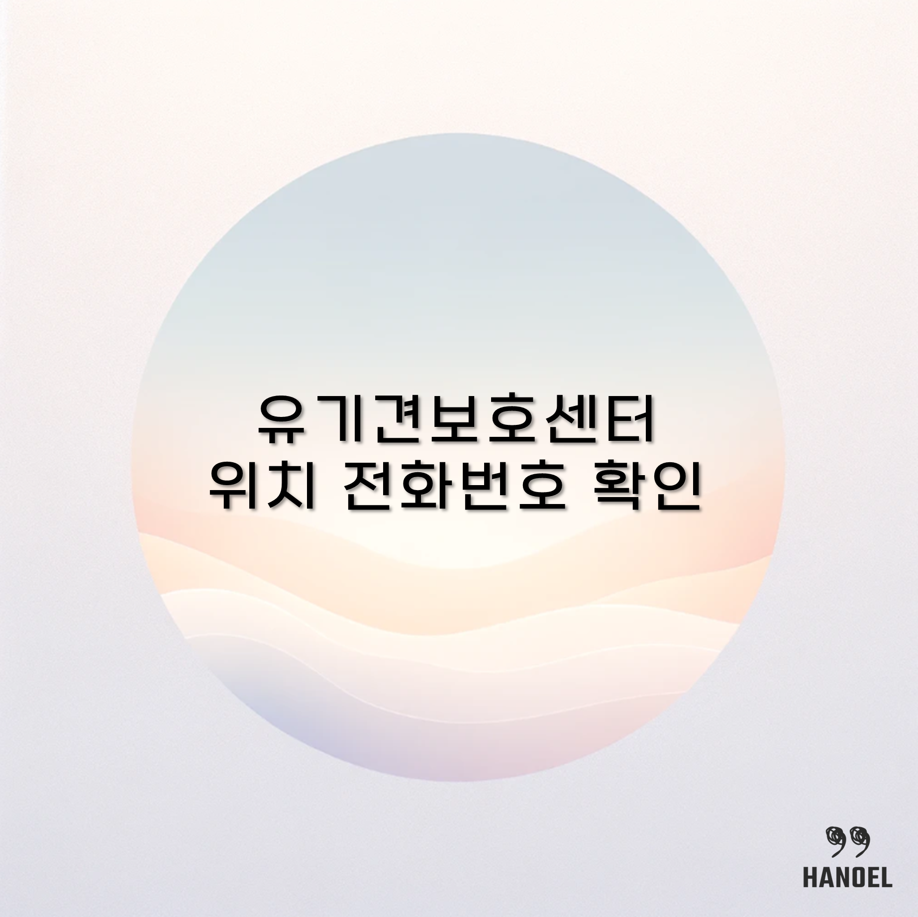 전국 유기견보호센터 위치 주소 및 전화번호 확인 방법 안내