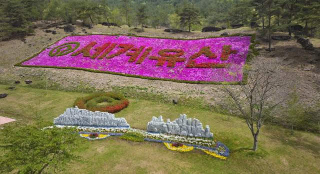 2025 화순 봄꽃 축제