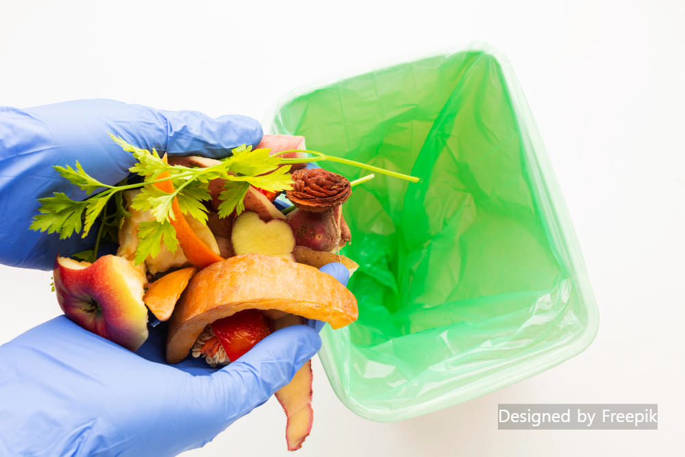 초파리 없애는 법